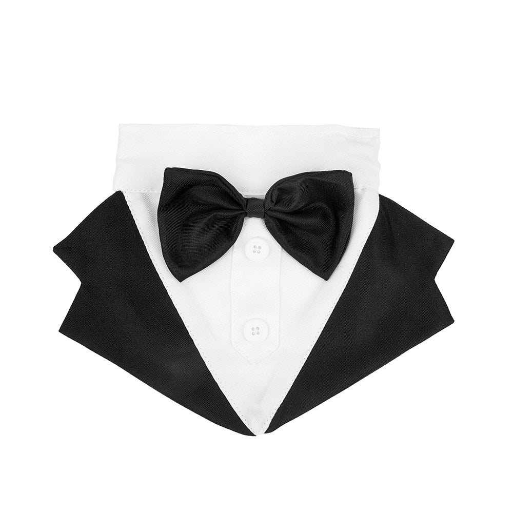 Dapper Dog Attire: Bow Tie Tuxedo, Party Dress, and More