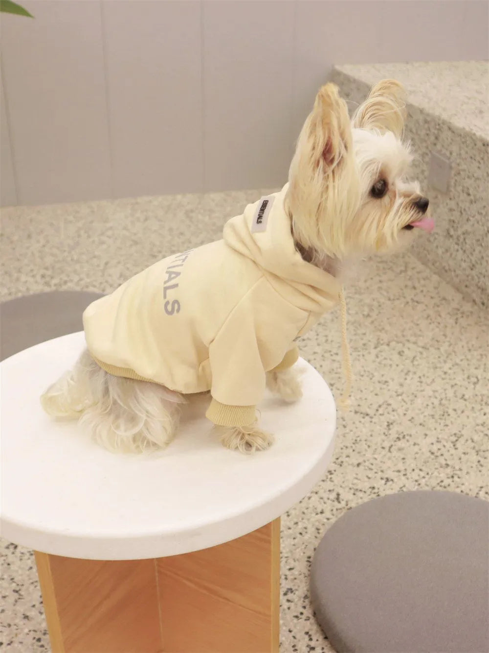 Small Dog Sweatshirt