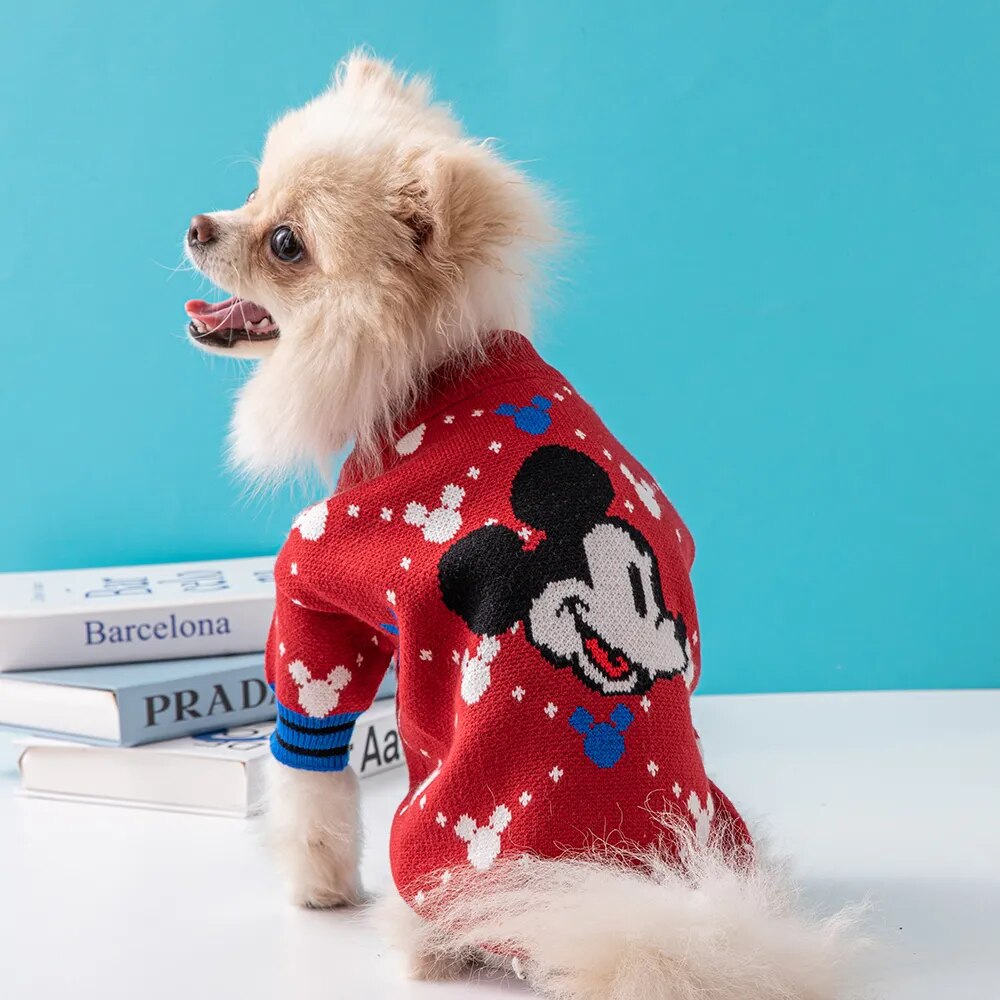 Disney Pullover Sweater