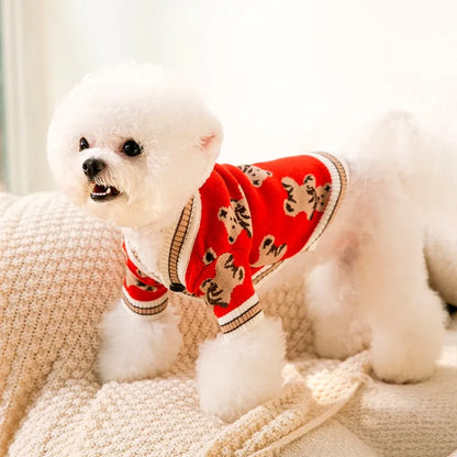 Teddy Knit Sweater