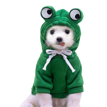 Dog Hoodie