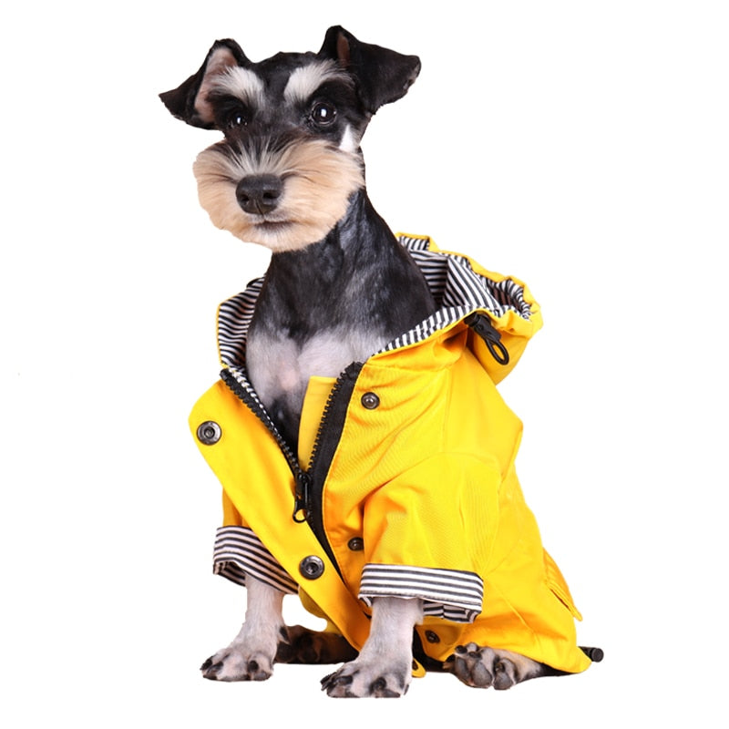 Yellow Waterproof Dog Raincoat