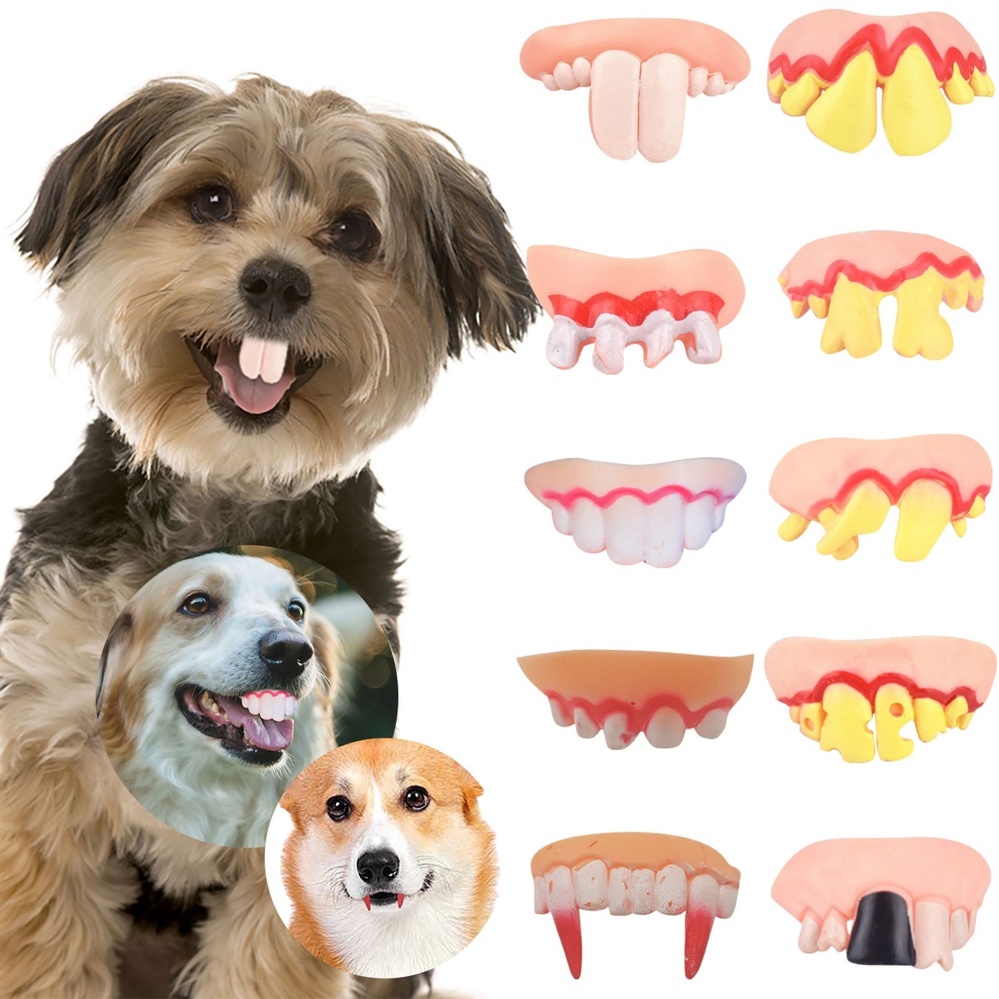 Hilarious Pet Dentures: Halloween Cosplay & More