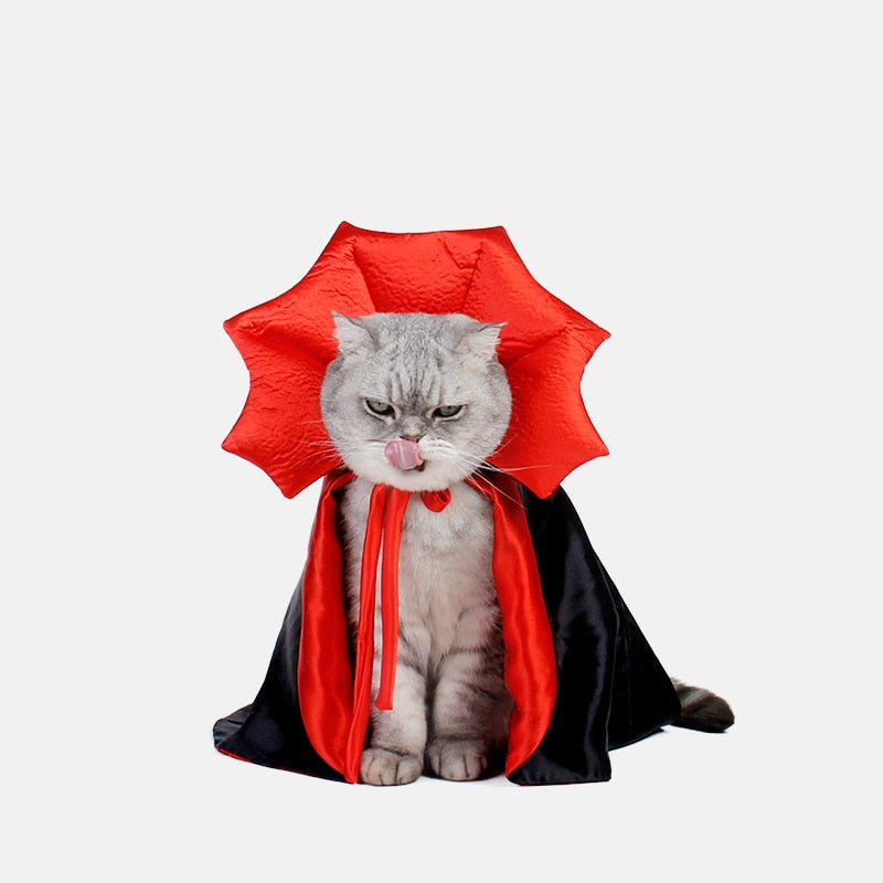 Cute Cat Vampire Halloween Costume