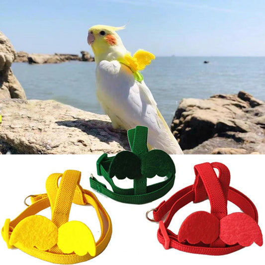 Long Cable Bird Harness Leash Anti-Bite Training