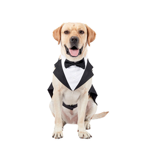 Dapper Dog Attire: Bow Tie Tuxedo, Party Dress, and More