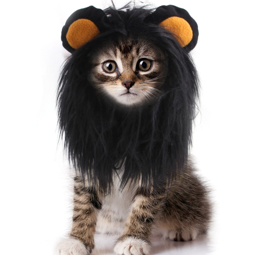 Kitten Halloween Cosplay Costume