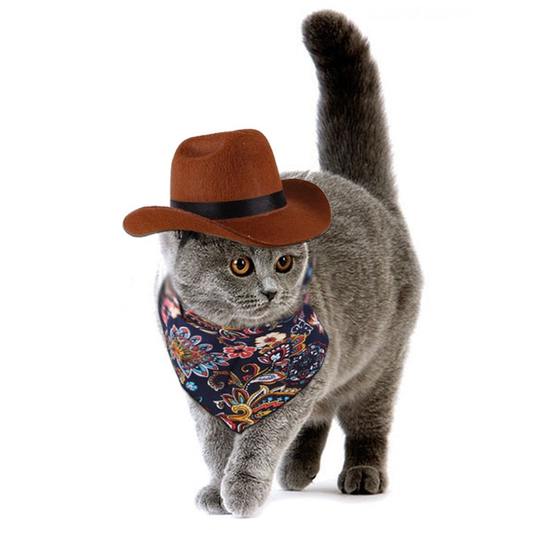 Pet Cowboy Hat & Triangle Scarf: Photo Fun